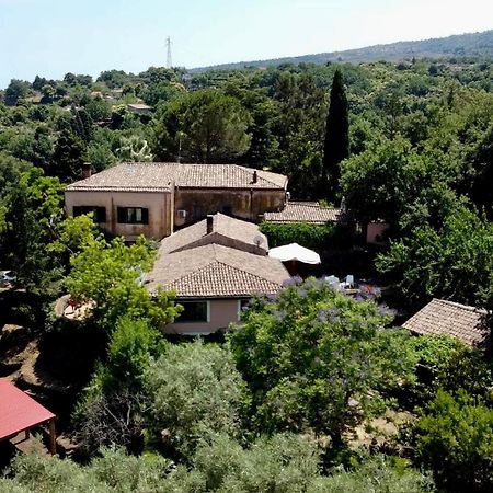 Bed And Breakfast Il Glicine Piedimonte Etneo Exterior photo