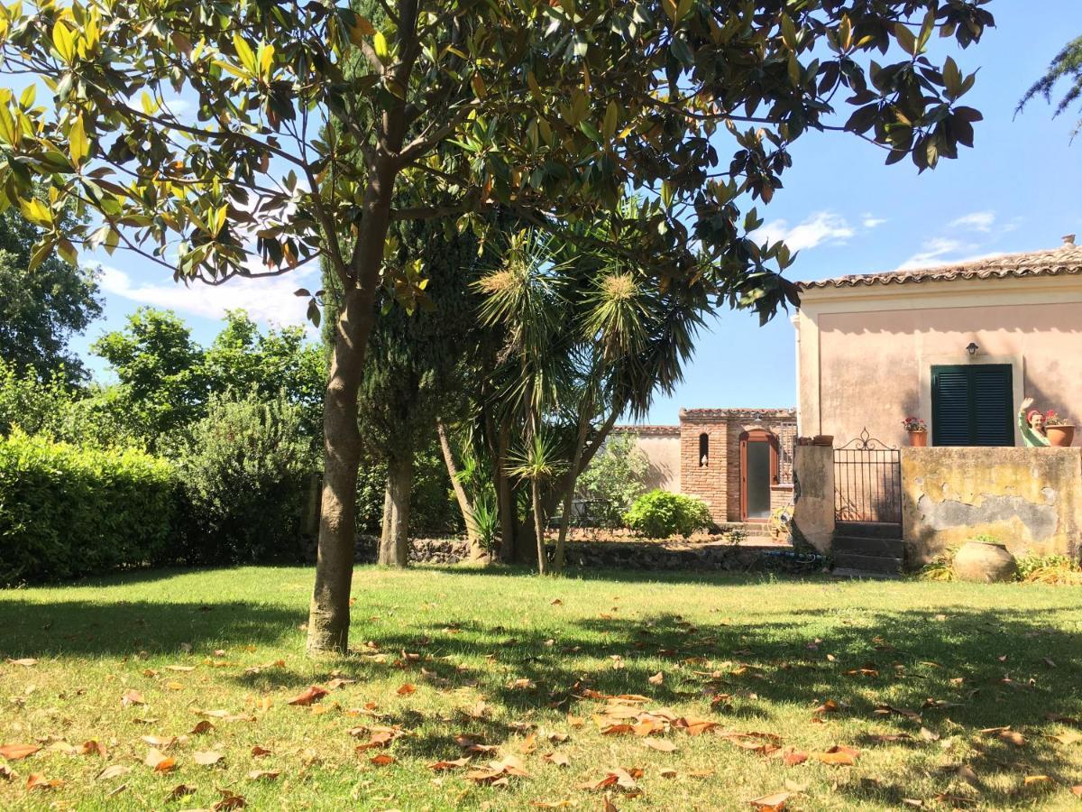 Bed And Breakfast Il Glicine Piedimonte Etneo Room photo