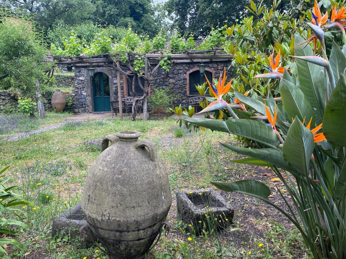 Bed And Breakfast Il Glicine Piedimonte Etneo Exterior photo