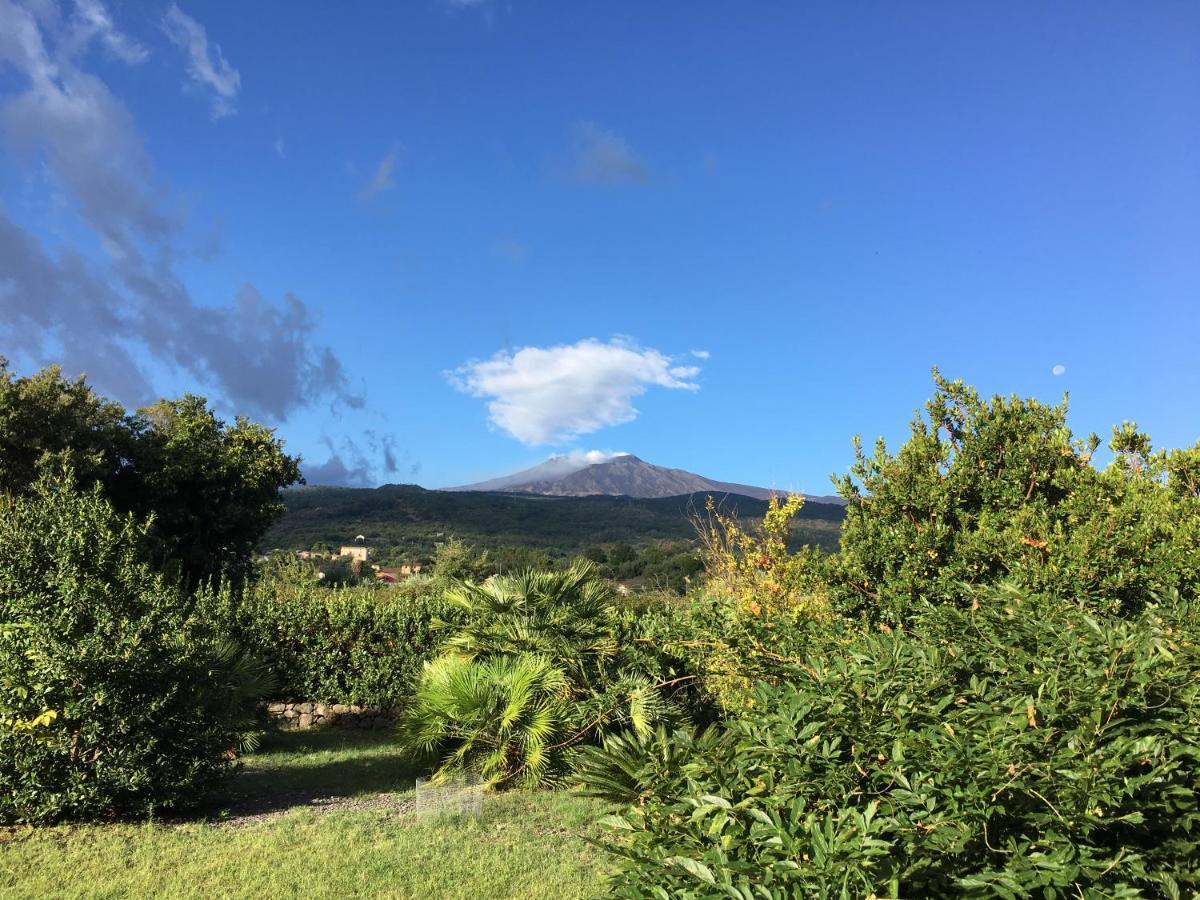 Bed And Breakfast Il Glicine Piedimonte Etneo Exterior photo