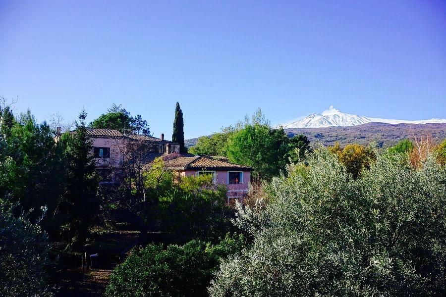 Bed And Breakfast Il Glicine Piedimonte Etneo Exterior photo
