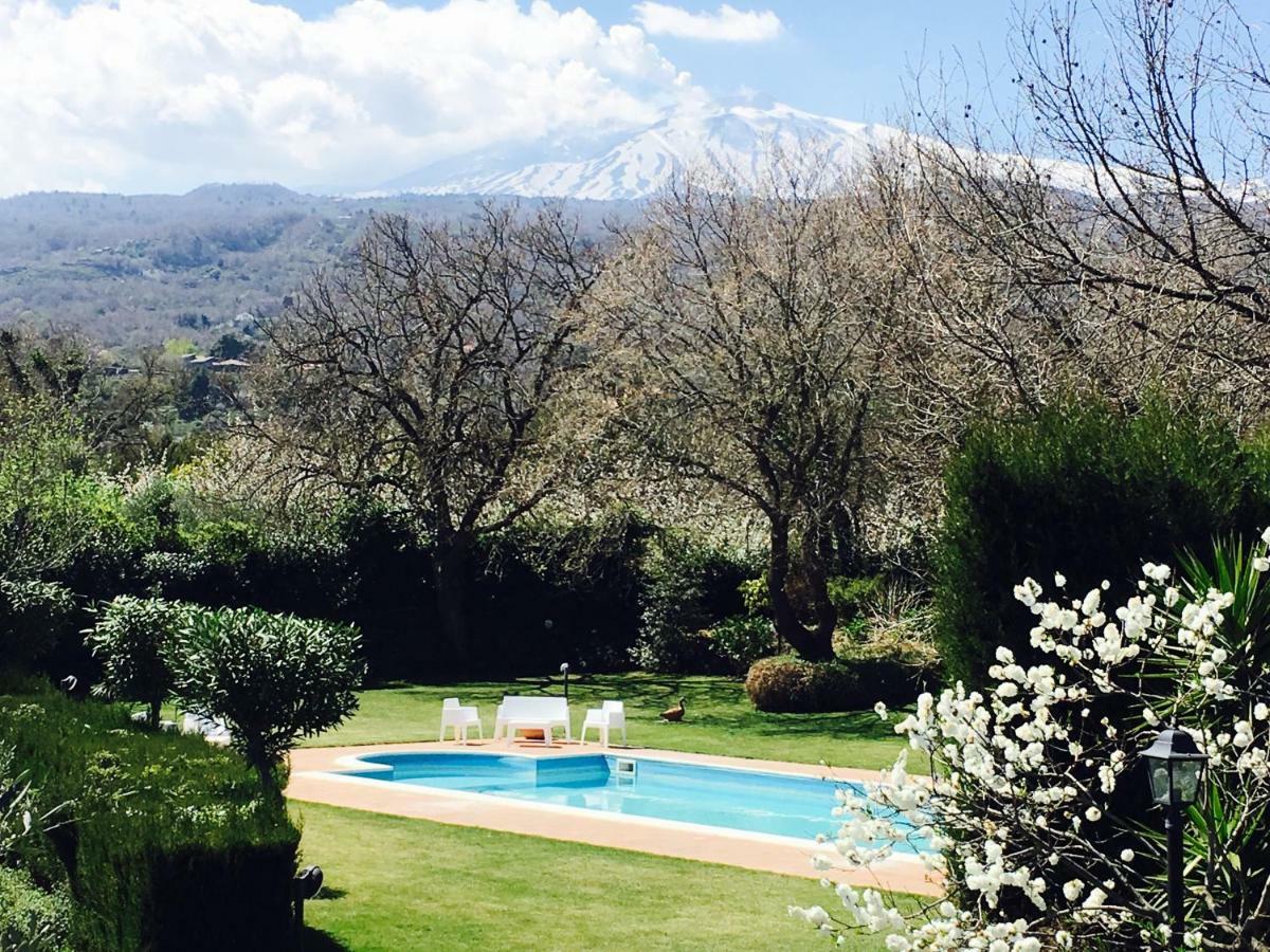 Bed And Breakfast Il Glicine Piedimonte Etneo Exterior photo